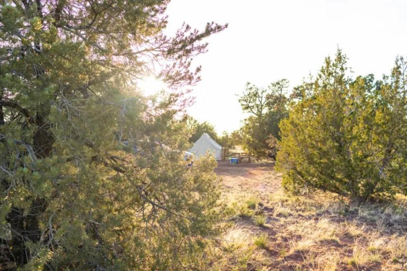 The Kaya Glamping Tent By The Grand Canyon ヴァジェ エクステリア 写真